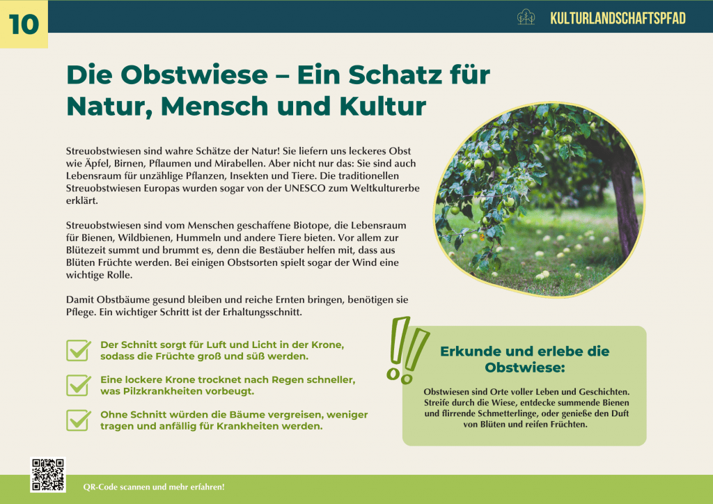 Obstwiese mit Apfelbäumen voller Früchte – Lebensraum für Bienen und Insekten, Kulturerbe und nachhaltige Quelle für gesundes Obst.