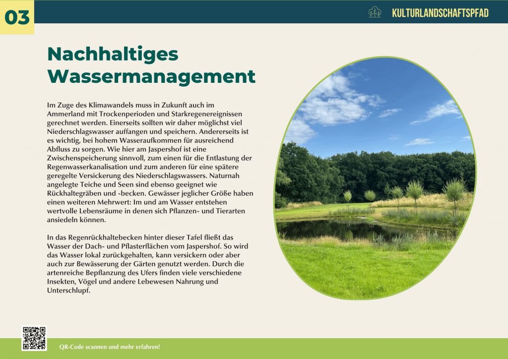 Nachhaltiges Wassermanagement im Ammerland mit Regenrückhaltebecken, Teichlandschaft und naturnaher Vegetation – Beispiel für Klima- und Artenschutz.