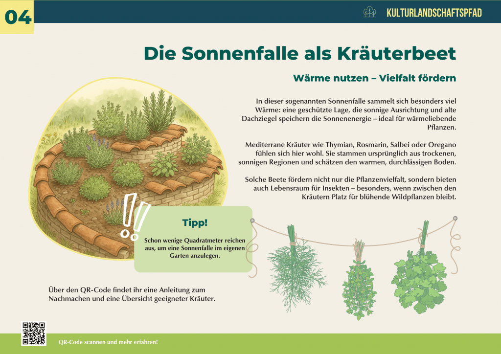 Illustration einer Sonnenfalle als Kräuterbeet mit Dachziegeln, bepflanzt mit mediterranen Kräutern wie Thymian, Rosmarin, Salbei und Oregano – nachhaltige Gartenidee für Wärme, Vielfalt und Insektenfreundlichkeit.