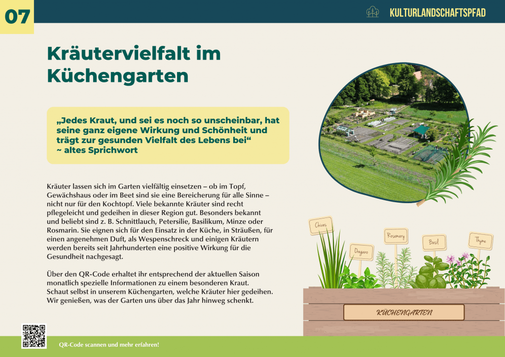 Kräutergarten mit Pflanzen wie Basilikum, Rosmarin, Schnittlauch, Oregano und Thymian – gesunde Kräutervielfalt im Küchengarten für Küche, Duft und Insektenfreundlichkeit.